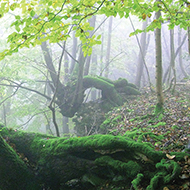 Übergänge begleiten