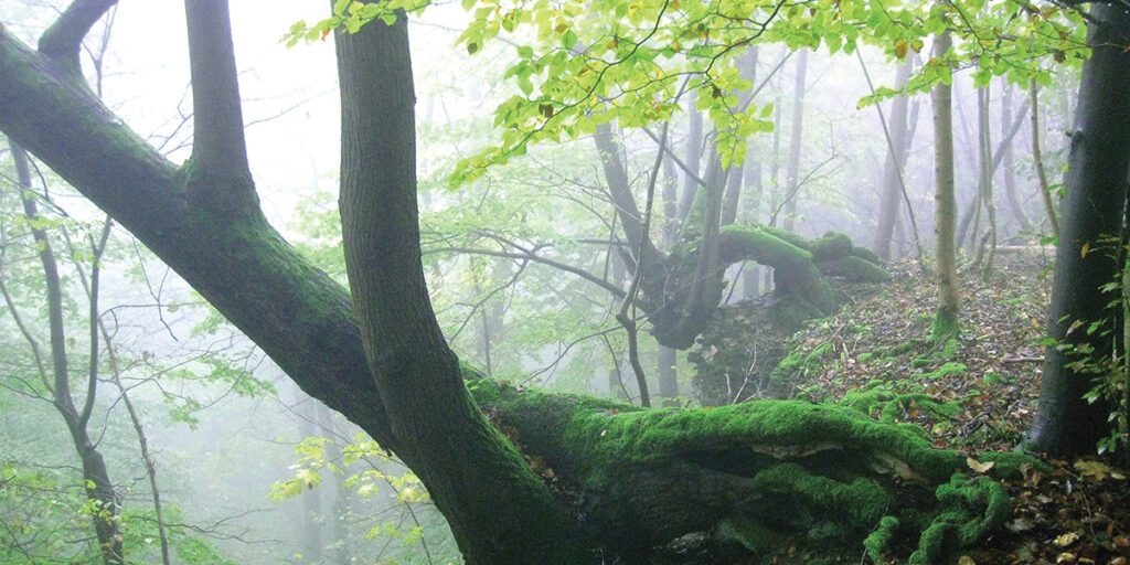 Übergänge begleiten